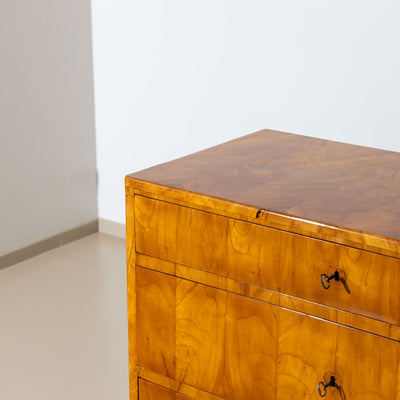 Biedermeier Chest of Drawers, Southern Germany, Munich, circa 1830