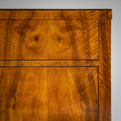 Biedermeier Chest of Drawers in Walnut, circa 1820