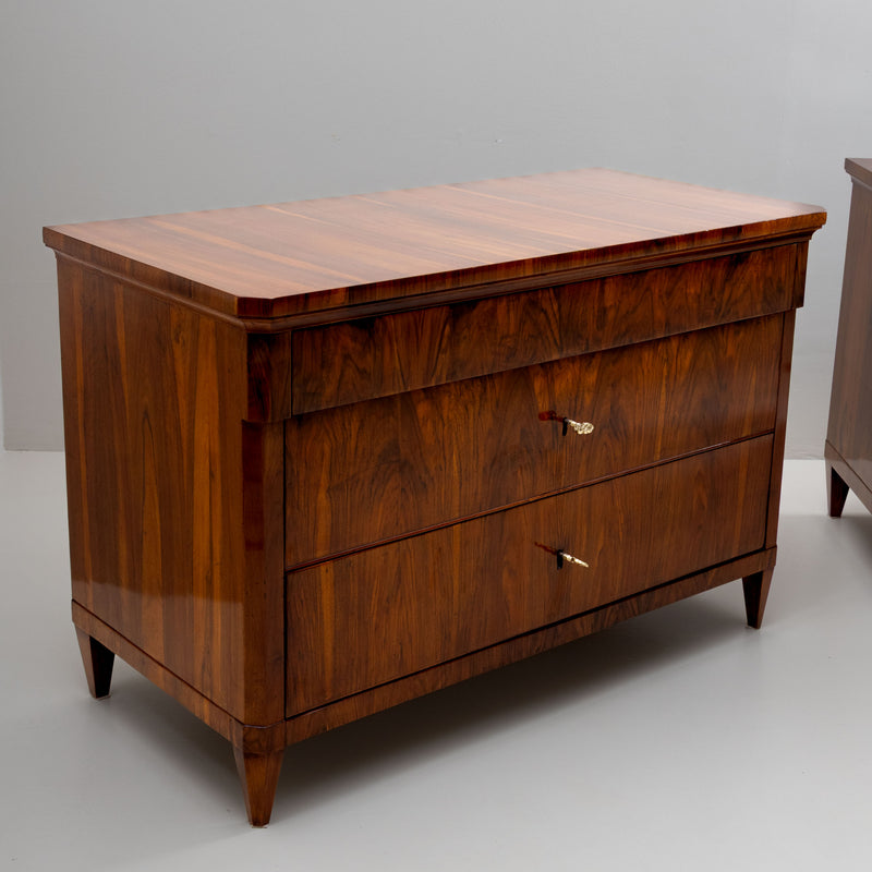 Pair of Large Biedermeier Chests of Drawers, Italy circa 1820