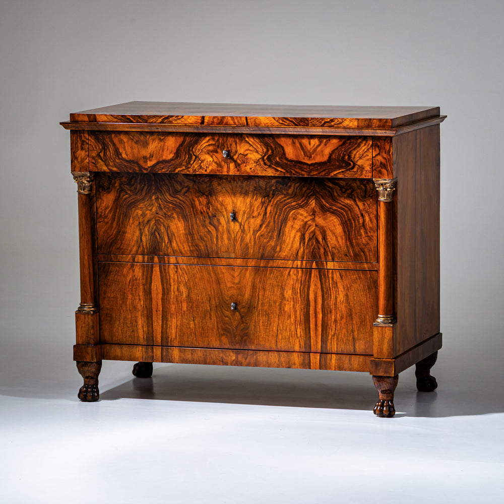 Biedermeier Chest of Drawers with Lion Paw Feet, Germany, Early 19th Century