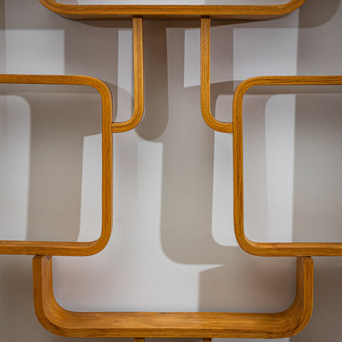 Mid-Century Room Divider by Ludvík Volák for Dřevopodnik Holešov, Czech Republic, 1950s