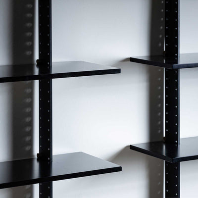 Shelving Unit Mod. Lib 2 by Ignazio Gardella for Azucena, Italy circa 1955