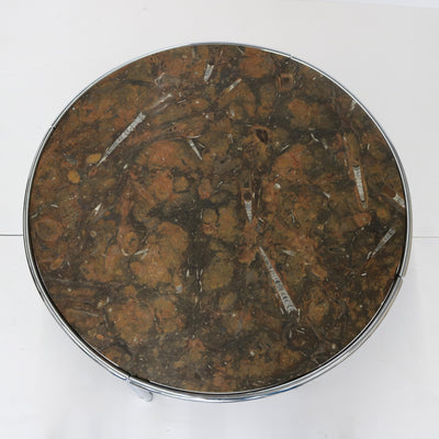 Modernist Fossil Stone Top Cocktail Coffee Table Italy 1950