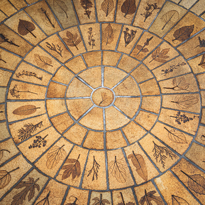 “Herbarium” Coffee Table with Floral Impressions by Roger Capron, France, 1960s